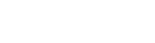 Furfree Brush
