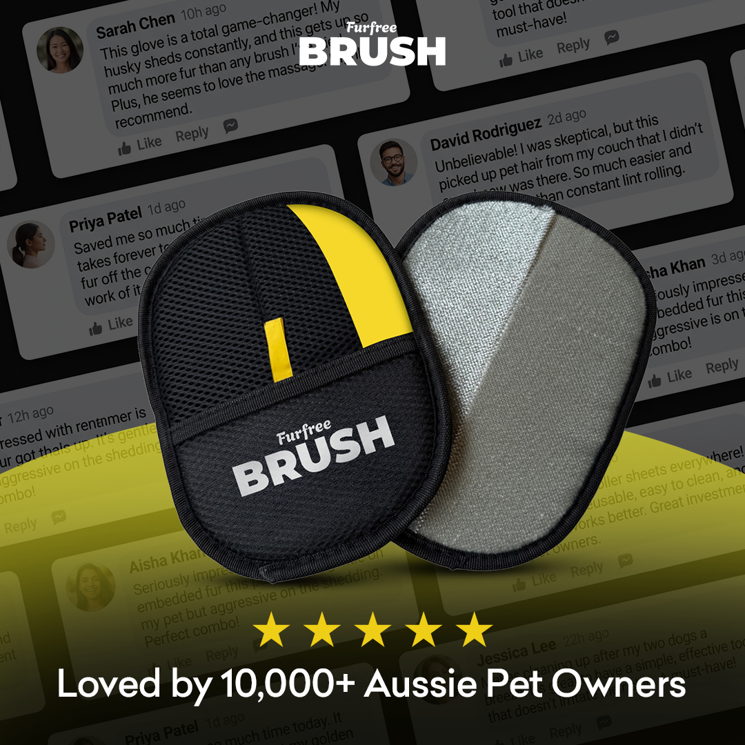 Furfree™ Pet Hair Remover Glove